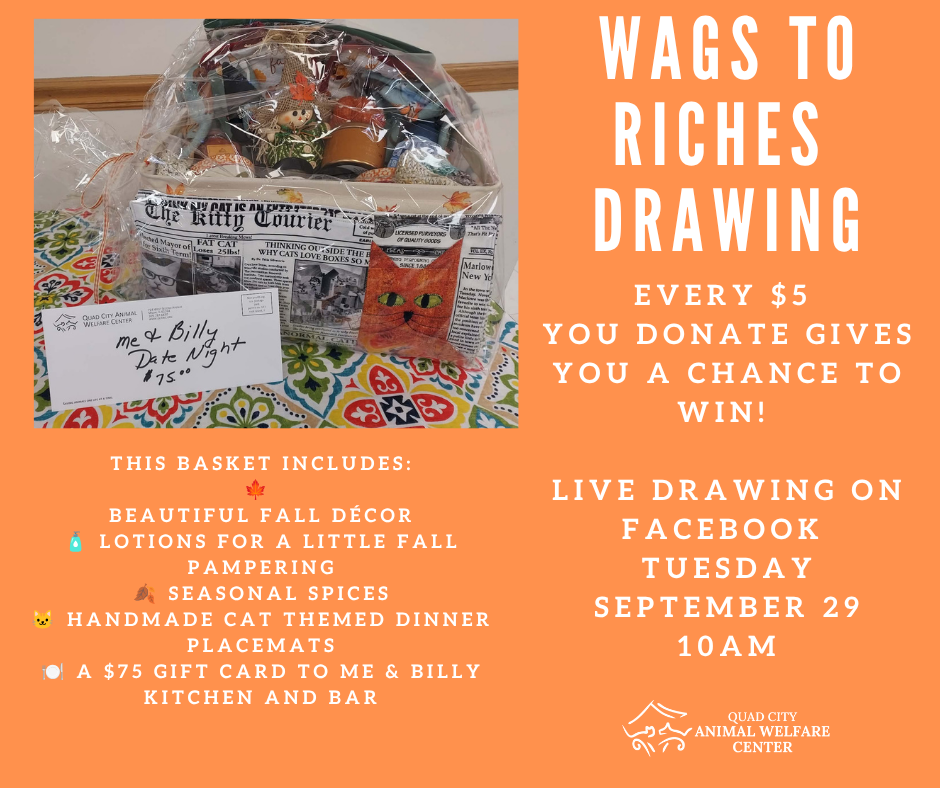 Wags to riches raffle 6